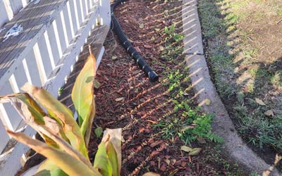 Photo of Nicole B.'s yard after getting landscaping in Camino, CA