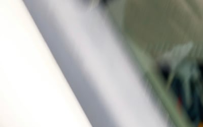 Photo of Penelope B.'s yard after getting tree care in Nashville, TN