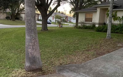 Photo of Michael O.'s yard after getting landscaping in Eagle Lake, FL