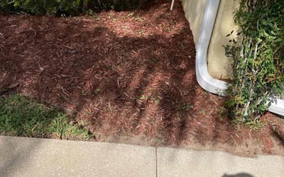 Photo of Daniela T.'s yard after getting tree care in Auburndale, FL