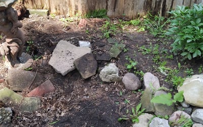 Photo of Alexis R.'s yard after getting landscaping in Howell, MI