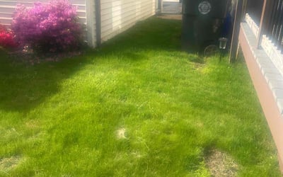 Photo of Richard A.'s yard after getting landscaping in West Warwick, RI
