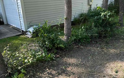 Photo of Sharon H.'s yard after getting landscaping in Goose Creek, SC