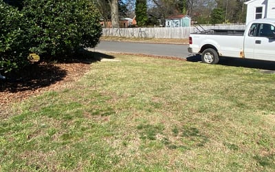 Photo of Andrew P.'s yard after getting landscaping in Amelia Court House, VA