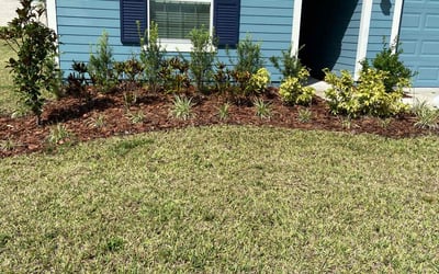 Photo of Daniela T.'s yard after getting tree care in Bartow, FL