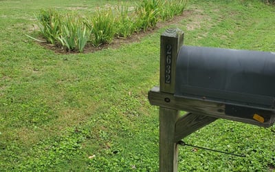 Photo of Mary L.'s yard after getting landscaping in Hadensville, VA
