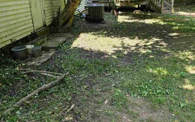 Photo of Sally S.'s yard after getting landscaping in Burke, VA
