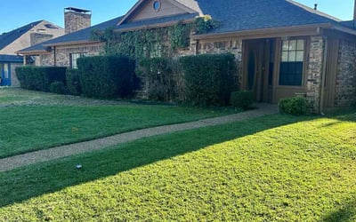 Photo of Rodrigo D.'s yard after getting landscaping in Wilmer, TX