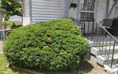 Photo of Charles O.'s yard after getting landscaping in Jeffersonville, IN