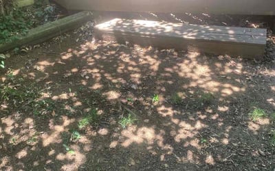 Photo of Misty A.'s yard after getting tree care in Tulsa, OK