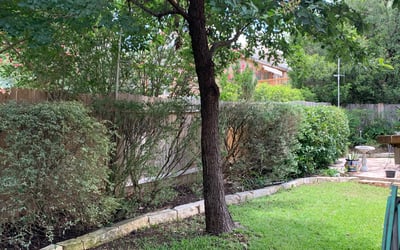 Photo of Dawn G.'s yard after getting tree care in Pipe Creek, TX