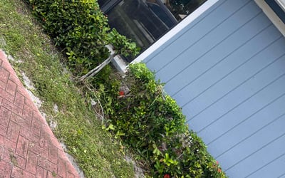 Photo of Jessica G.'s yard after getting landscaping in Margate, FL