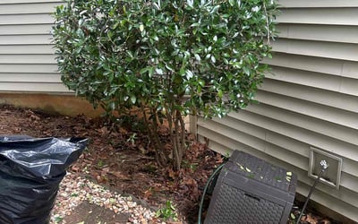 Photo of Willie T.'s yard after getting landscaping in Marietta, GA