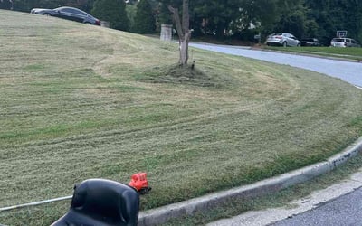 Photo of Gloria J.'s yard after getting landscaping in Jonesboro, GA