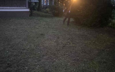Photo of Nicole M.'s yard after getting landscaping in Philadelphia, PA