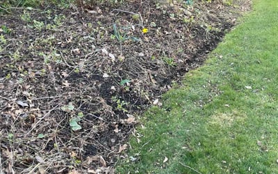 Photo of Cheryl K.'s yard after getting landscaping in Brownsville, OH