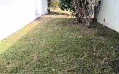 Photo of Andrew P.'s yard after getting landscaping in Cape Canaveral, FL