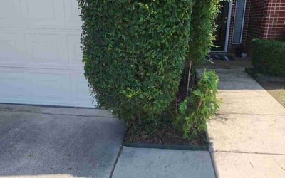 Photo of Jason M.'s yard after getting landscaping in Cresson, TX