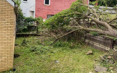 Photo of James T.'s yard after getting landscaping in Kittanning, PA