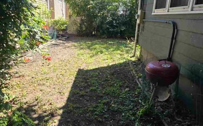 Photo of Stephanie S.'s yard after getting landscaping in Chicago, IL