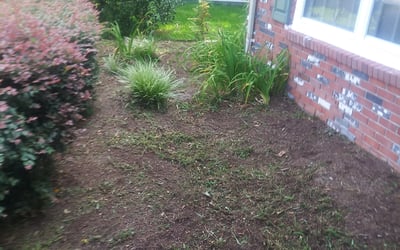 Photo of Amanda M.'s yard after getting landscaping in Grandy, NC