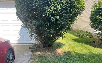 Photo of Denise W.'s yard after getting landscaping in Monroe, OH