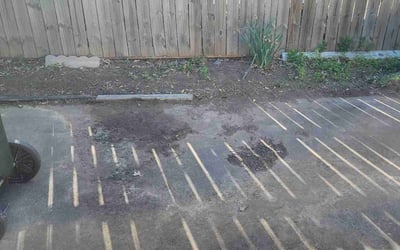 Photo of Michelle S.'s yard after getting landscaping in Jones, OK