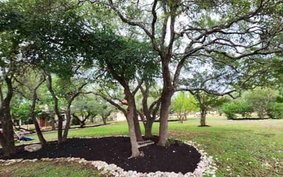 Photo of Michael P.'s yard after getting landscaping in Georgetown, TX