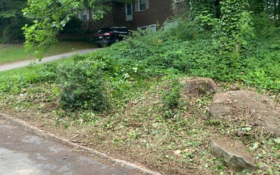 Photo of Stephen J.'s yard after getting landscaping in Bowdon, GA