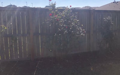 Photo of Julie L.'s yard after getting landscaping in Wimberley, TX