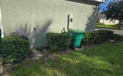 Photo of Reza R.'s yard after getting tree care in Deland, FL