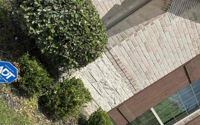 Photo of Tunde O.'s yard after getting landscaping in Frisco, TX