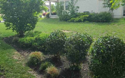 Photo of Angela F.'s yard after getting landscaping in White Plains, MD