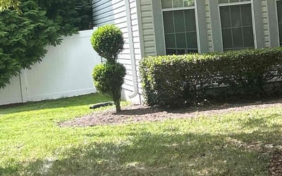 Photo of Bradley D.'s yard after getting landscaping in Suffolk, VA