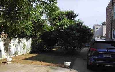 Photo of David B.'s yard after getting landscaping in Port Chester, NY