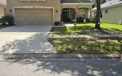 Photo of Stephanie C.'s yard after getting landscaping in Riverview, FL