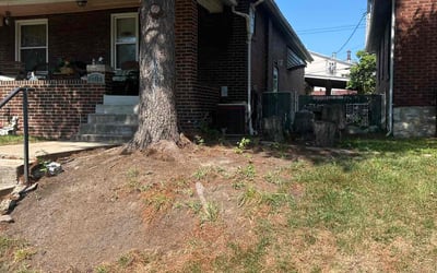 Photo of Edward H.'s yard after getting landscaping in Troy, MO