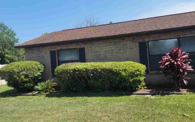 Photo of Reza R.'s yard after getting tree care in Debary, FL