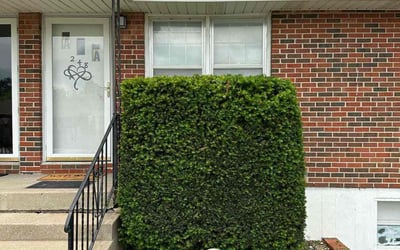 Photo of Ashley W.'s yard after getting landscaping in Lees Summit, MO