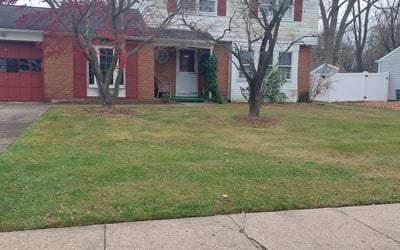 Photo of Nancy C.'s yard after getting landscaping in Williamstown, NJ