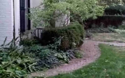 Photo of Jim T.'s yard after getting landscaping in Thurston, OH