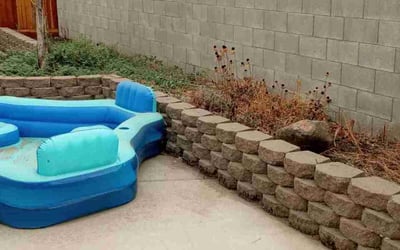 Photo of Curtis P.'s yard after getting tree care in Fresno, CA