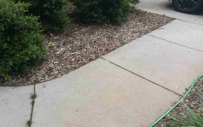 Photo of Mark B.'s yard after getting tree care in Concord, NC