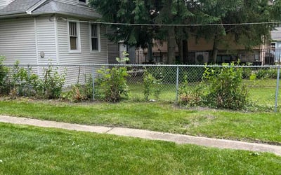 Photo of Rosemary O.'s yard after getting tree care in Plainfield, IL