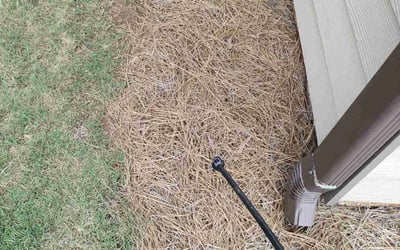 Photo of David K.'s yard after getting landscaping in Woodbury, GA