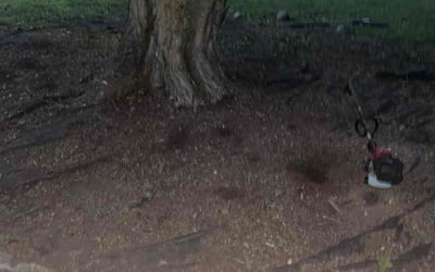 Photo of Annette C.'s yard after getting landscaping in Cicero, IN