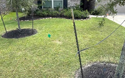 Photo of Chris C.'s yard after getting landscaping in Katy, TX