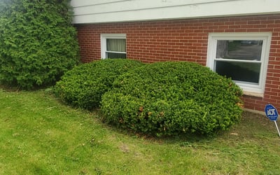 Photo of Alex R.'s yard after getting landscaping in Dekalb, IL