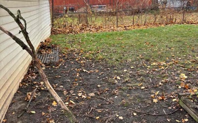 Photo of Carolyn C.'s yard after getting landscaping in Ithaca, NY