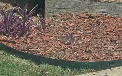 Photo of Sylvia B.'s yard after getting landscaping in Lewisville, TX